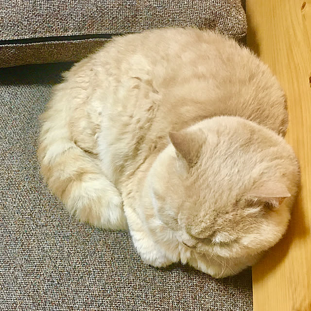 naokoさんの部屋