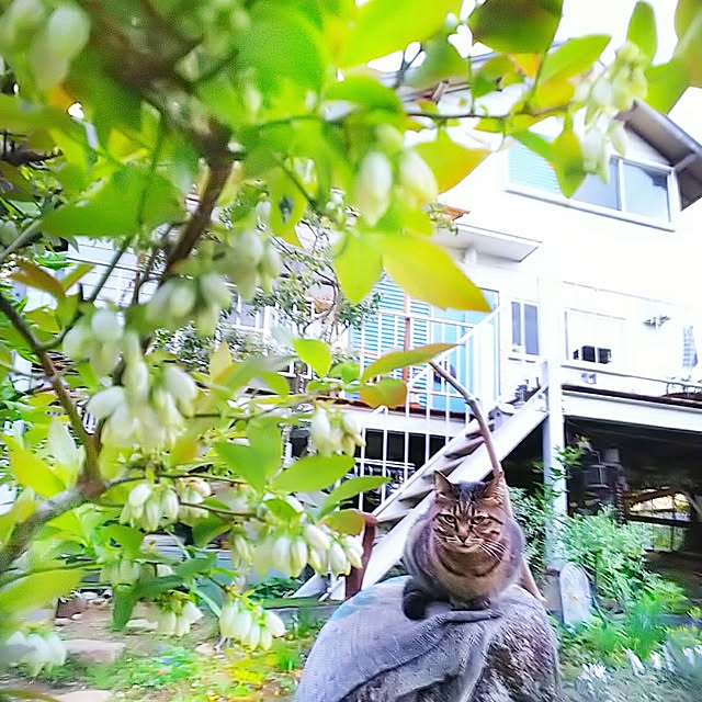 weさんの実例写真