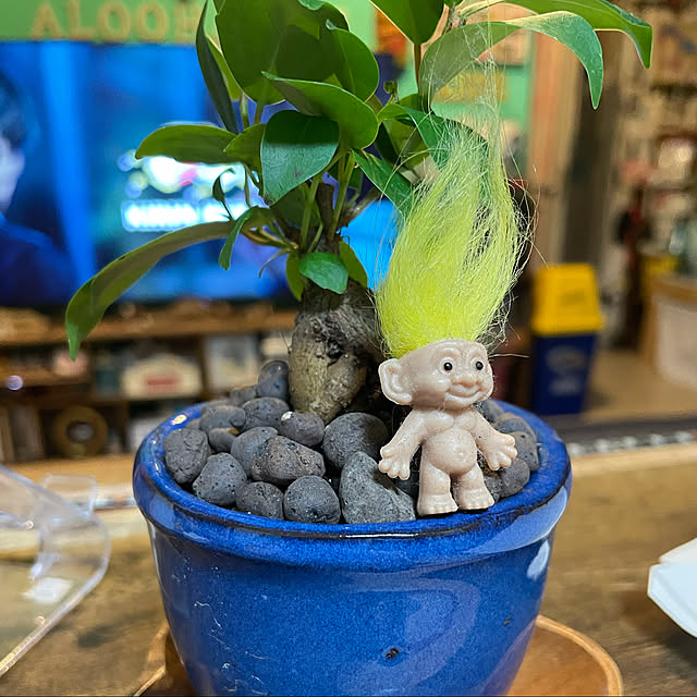 pakaroさんの実例写真