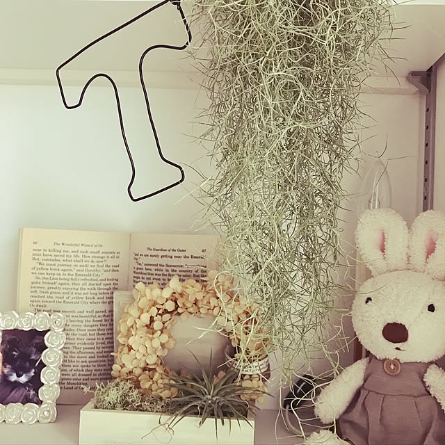 tamaeさんの実例写真