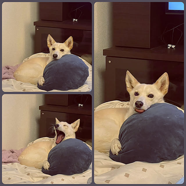 tanboさんの実例写真