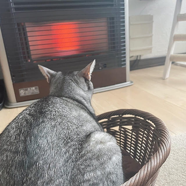 kotoriさんの実例写真