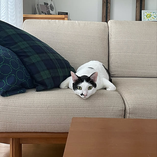 nobikoさんの実例写真