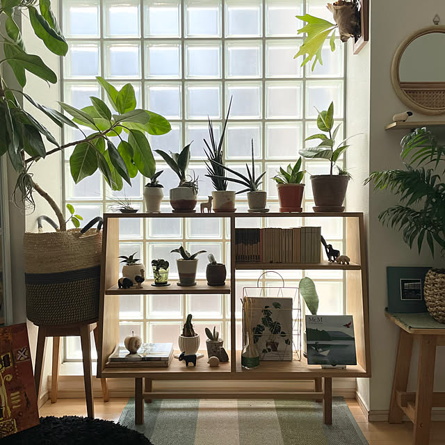 棚/観葉植物のインテリア実例 - 2023-07-27 13:41:59