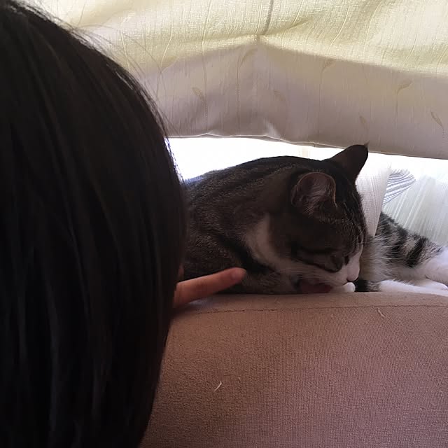 kimikimiさんの実例写真
