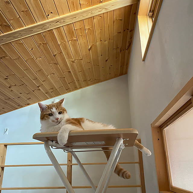 senbei.sakuramochiさんの実例写真