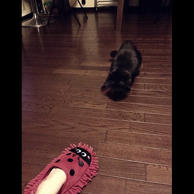 jnkaiさんの実例写真