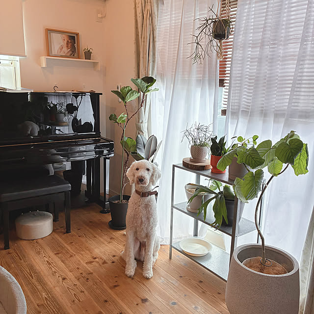 mari1142さんの実例写真