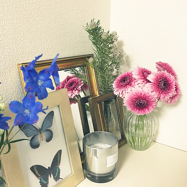 Ray.mさんの実例写真