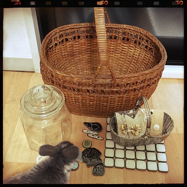 T.hinaさんの実例写真