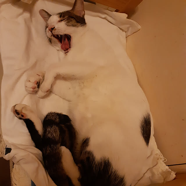 CinqinTWさんの実例写真