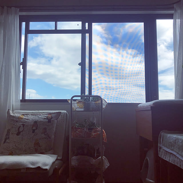 uchidaizuさんの実例写真