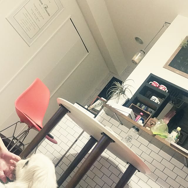 yukagomaさんの実例写真