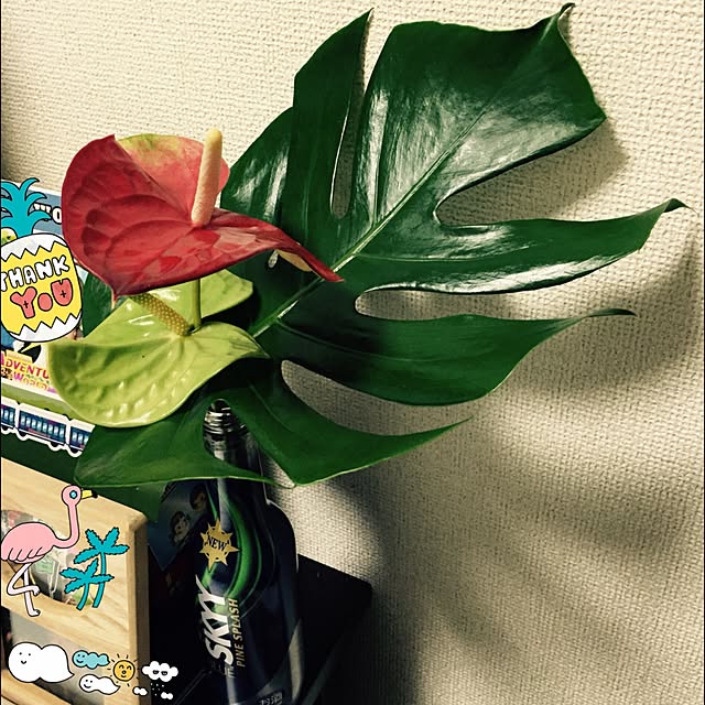 mai.maiさんの実例写真