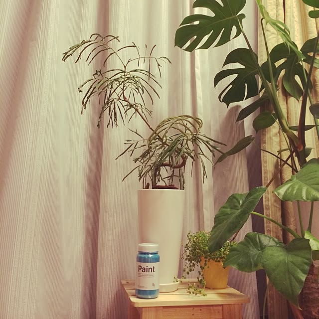 Keijiさんの実例写真