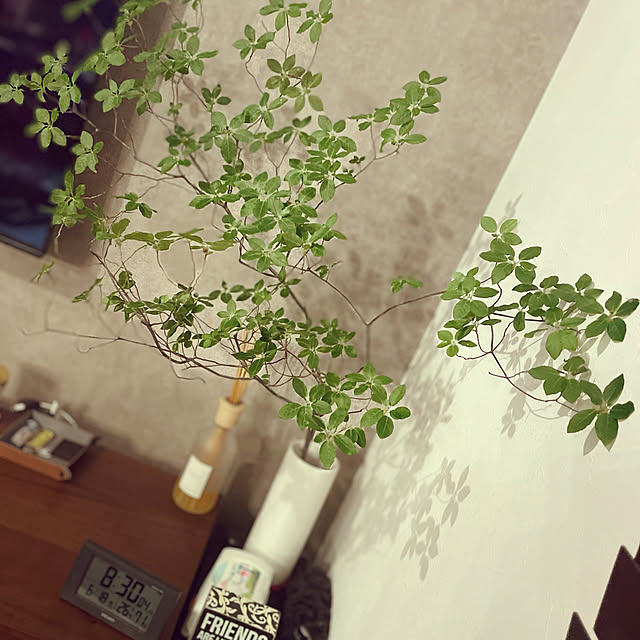 Ayumi_918さんの実例写真