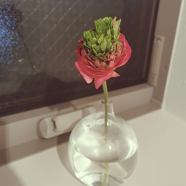 satoさんの実例写真
