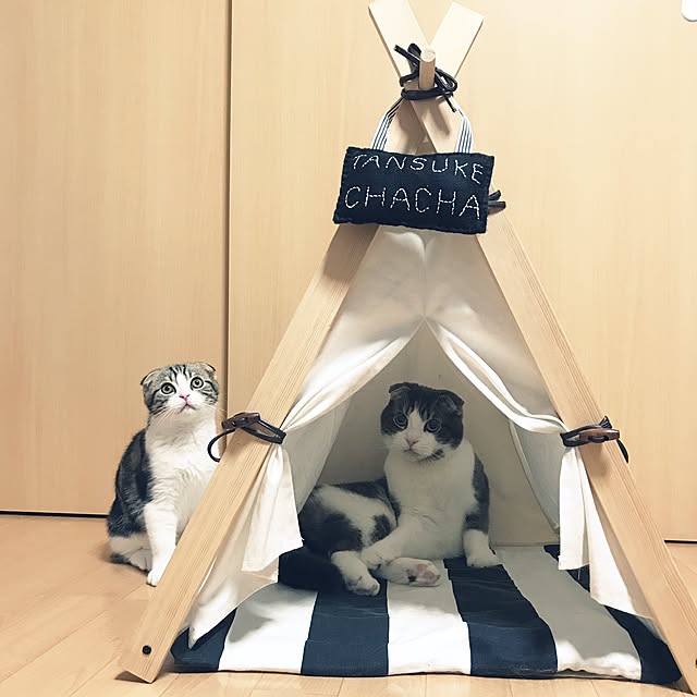 tansukeさんの実例写真