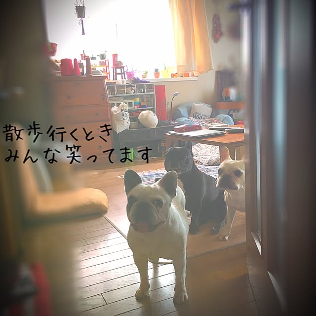 38coreさんの実例写真