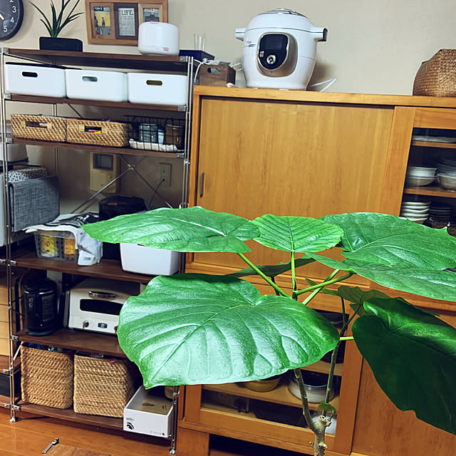 sayakaさんの実例写真