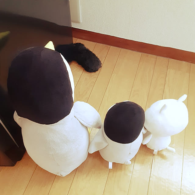 5101103さんの実例写真