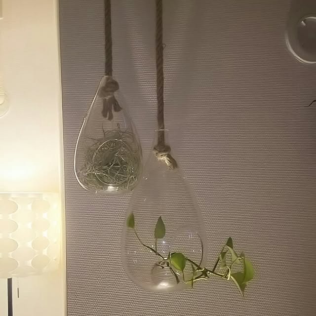 Shihoさんの実例写真