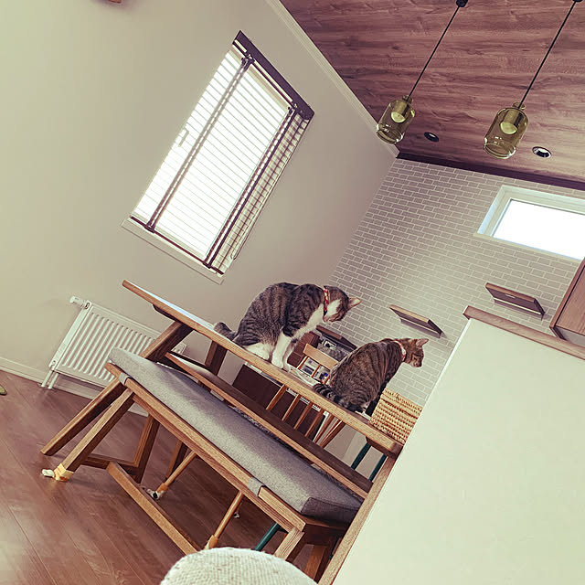 ayuさんの実例写真