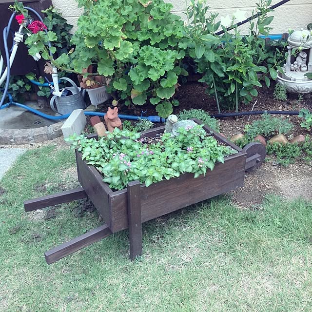 toshiさんの実例写真