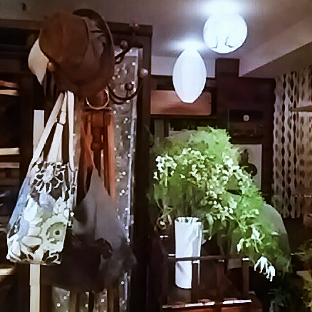 spinetailさんの実例写真