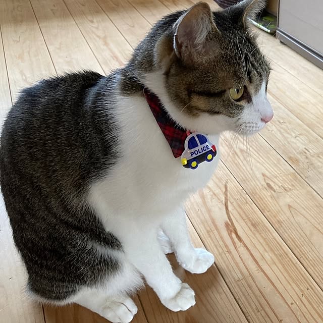 teruminさんの部屋