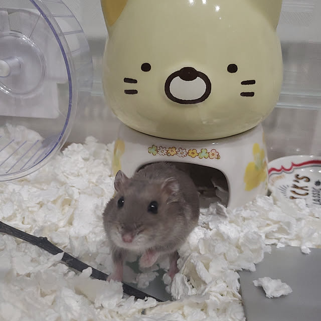 BAZさんの実例写真