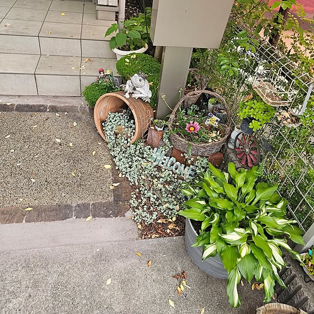 GaudisHouseさんの部屋