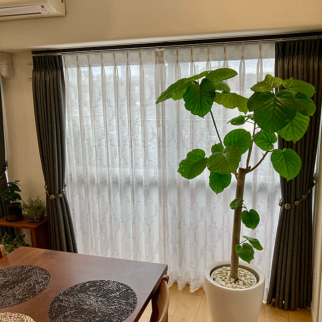 Mihiroさんの実例写真