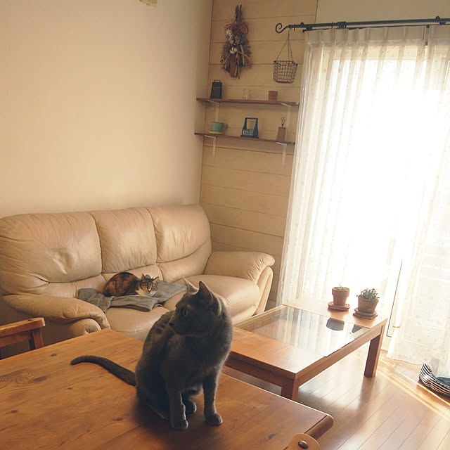 tomo1220さんの実例写真