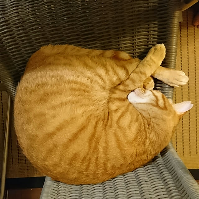 okyosan101さんの実例写真