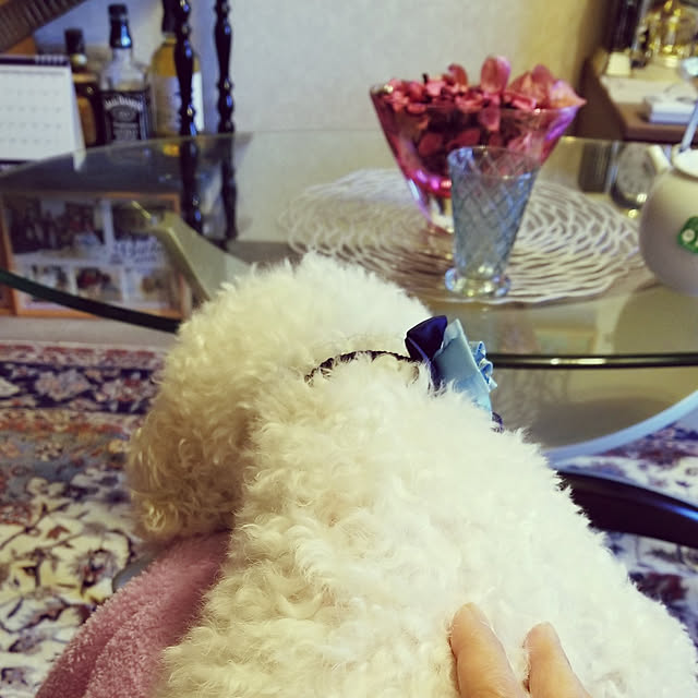 takoさんの実例写真