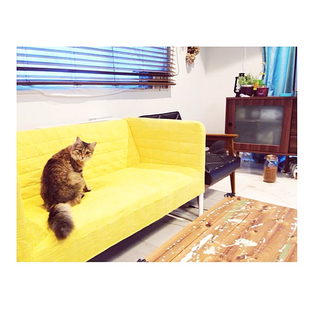 nauy2525さんの実例写真