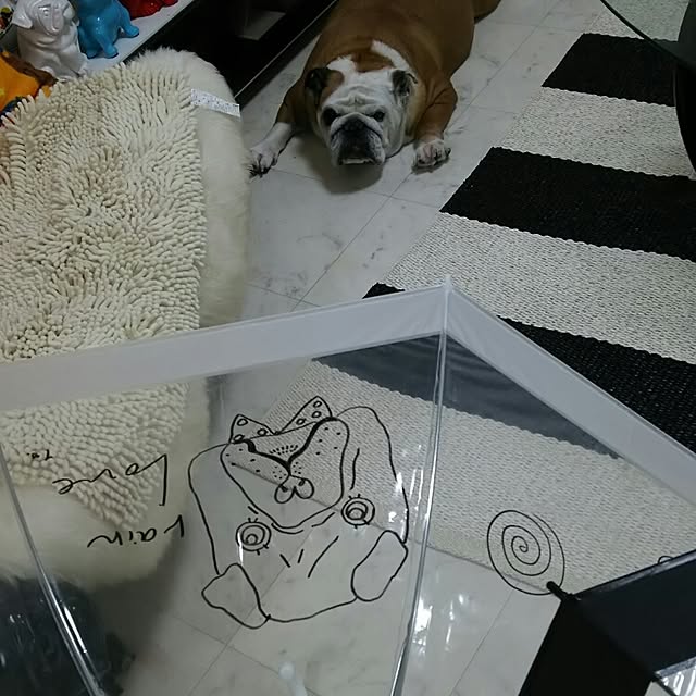 panchobiさんの実例写真