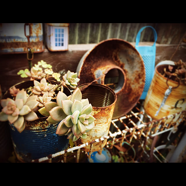 marusanさんの実例写真
