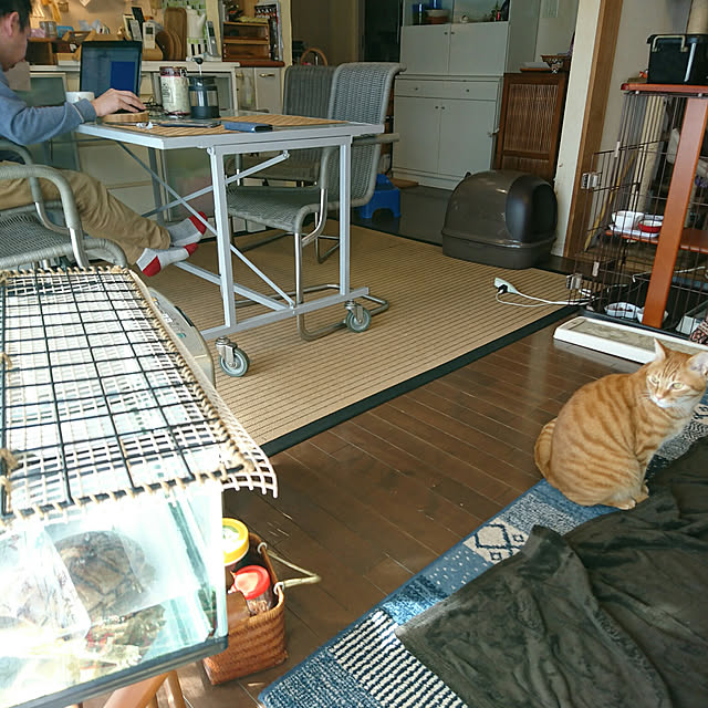 okyosan101さんの実例写真