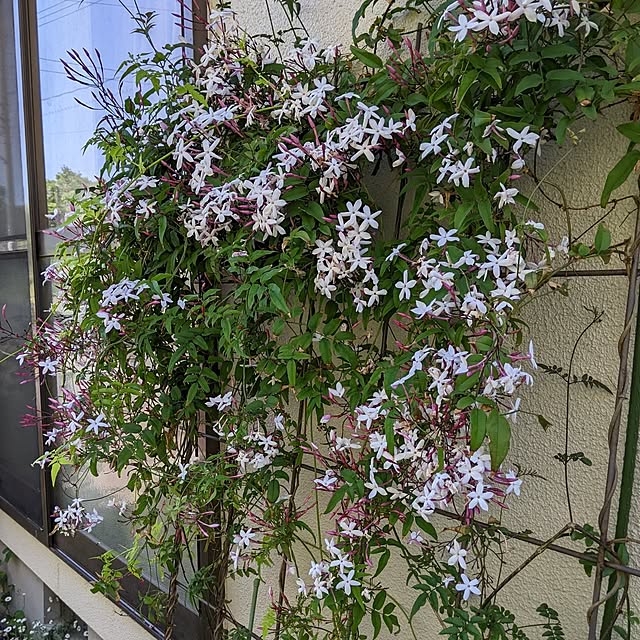 hiroさんの部屋