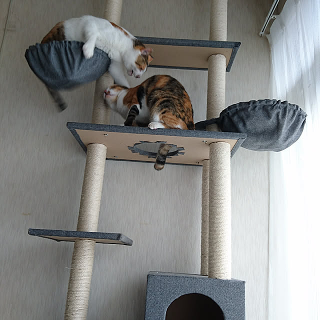 taleo07さんの実例写真