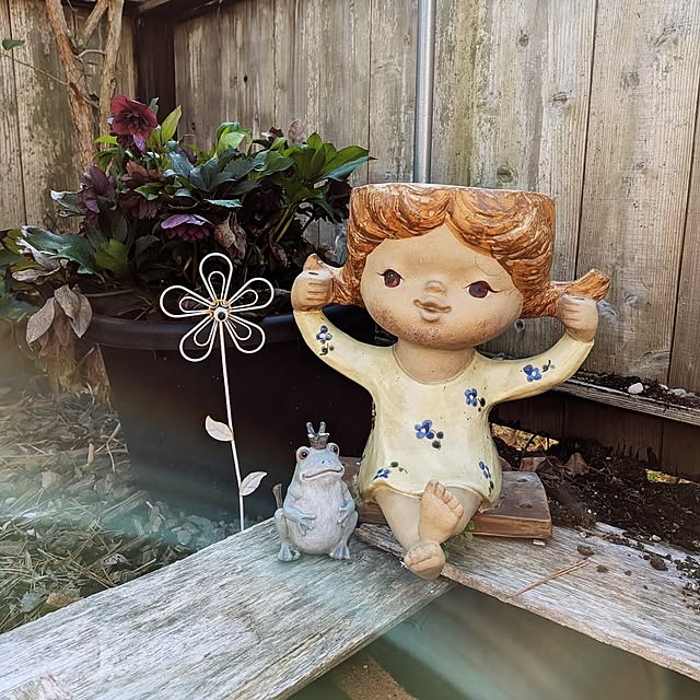 umeboshicyanさんの実例写真