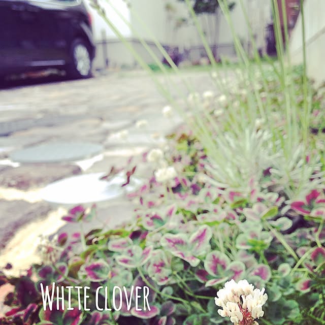 oldwoodさんの実例写真