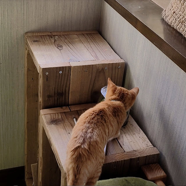 WOODPROさんの部屋