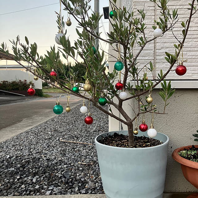 Tomoさんの実例写真