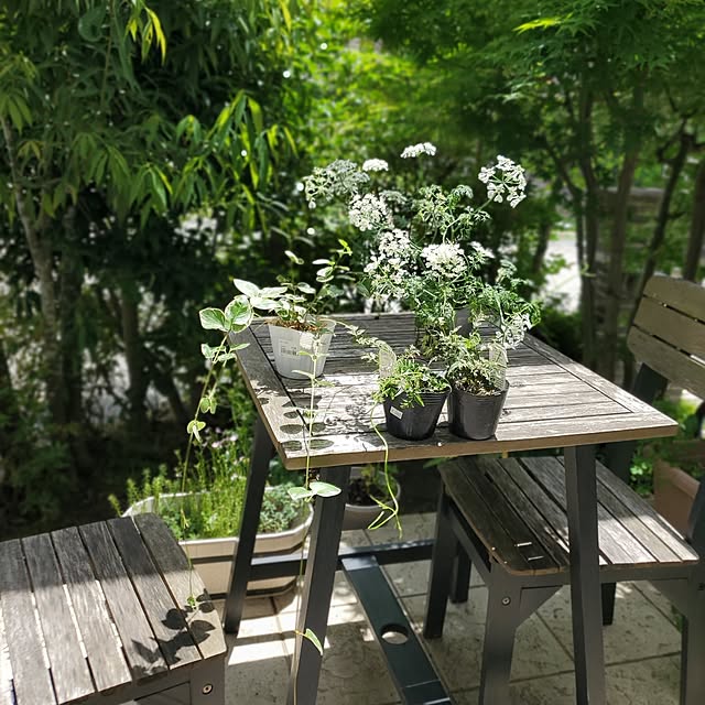 MARIE.color.interiorさんの実例写真