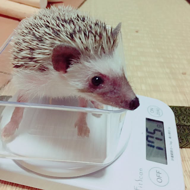 n.k.mさんの実例写真