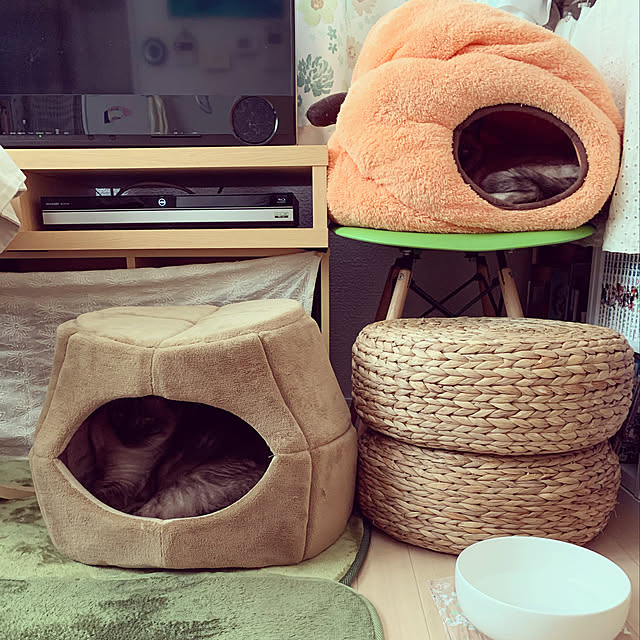 Hikariさんの実例写真