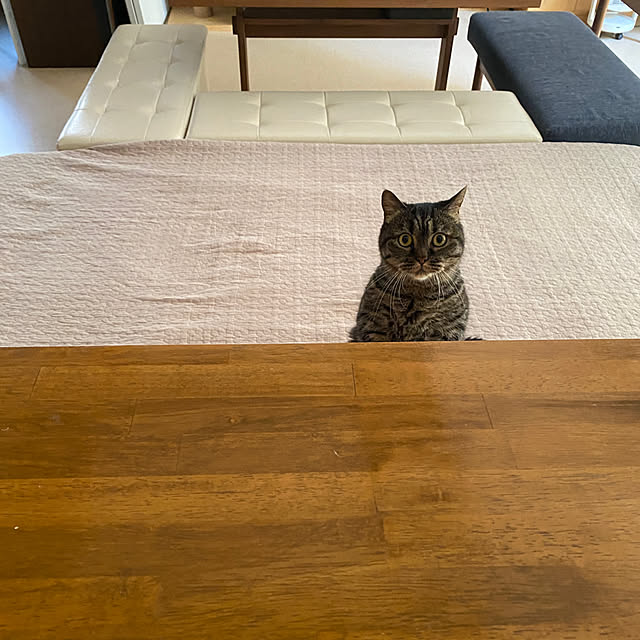 nocomomさんの部屋